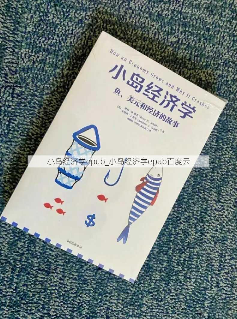 小岛经济学epub_小岛经济学epub百度云