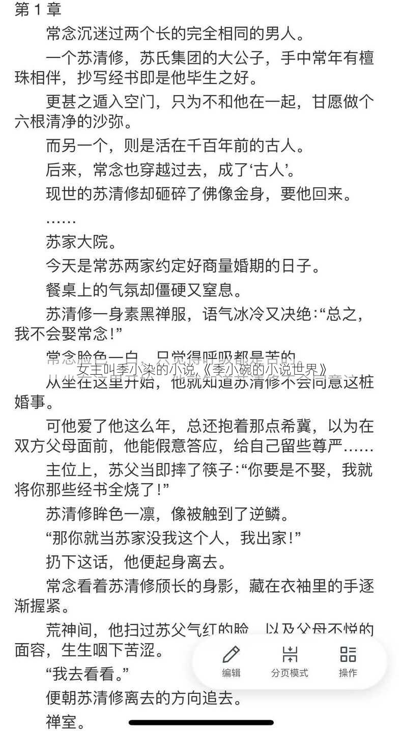 女主叫季小染的小说,《季小碗的小说世界》