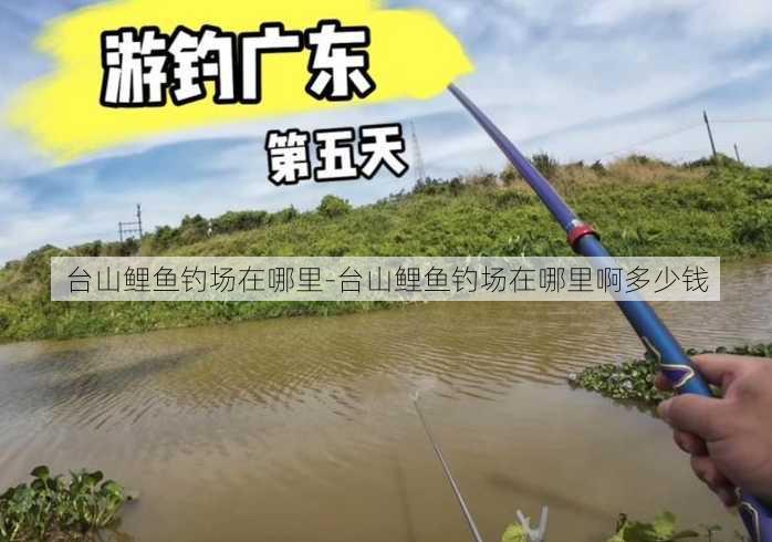 台山鲤鱼钓场在哪里-台山鲤鱼钓场在哪里啊多少钱