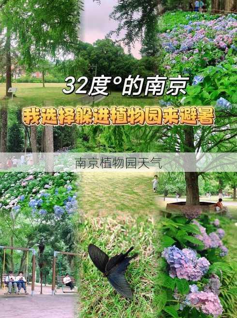 南京植物园天气