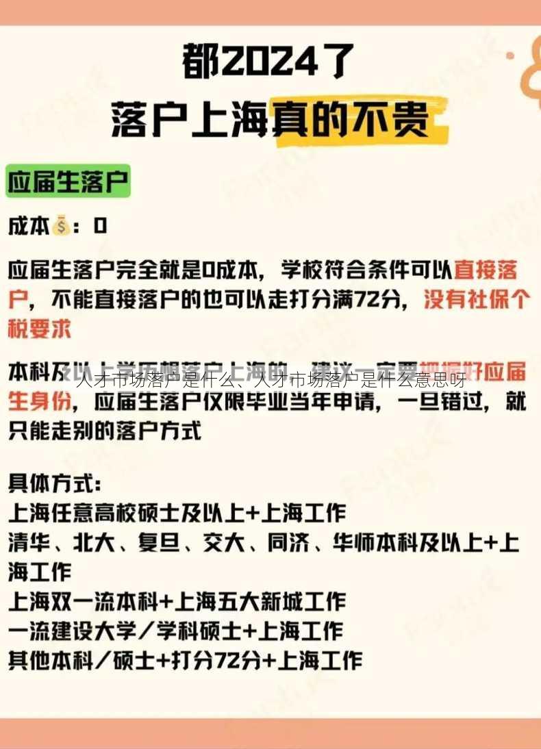 人才市场落户是什么、人才市场落户是什么意思呀