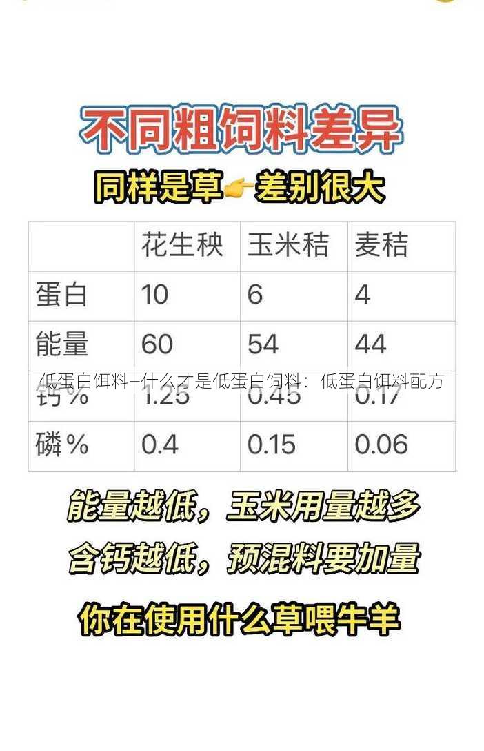 低蛋白饵料—什么才是低蛋白饲料：低蛋白饵料配方