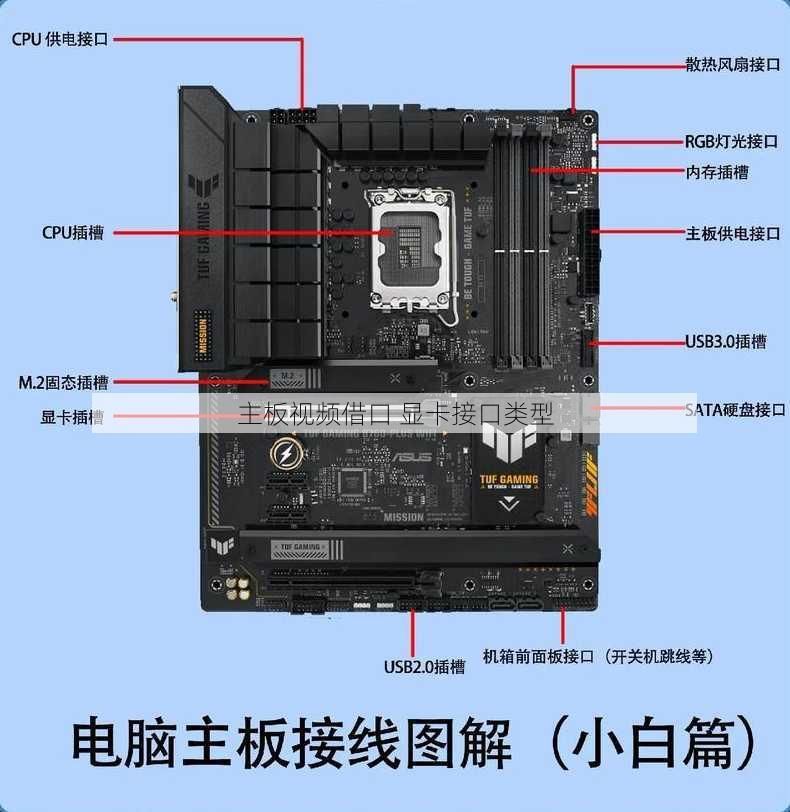 主板视频借口 显卡接口类型