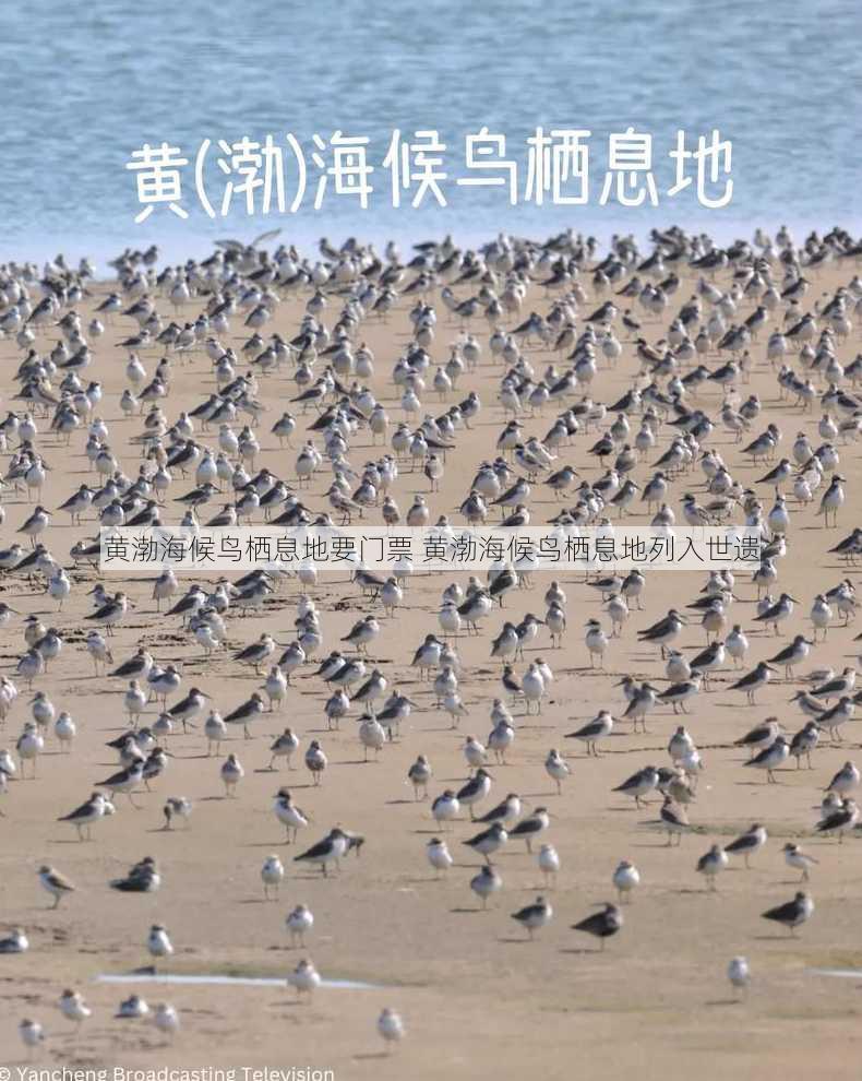 黄渤海候鸟栖息地要门票 黄渤海候鸟栖息地列入世遗