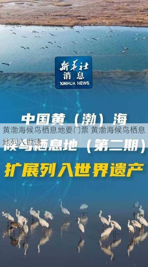 黄渤海候鸟栖息地要门票 黄渤海候鸟栖息地列入世遗