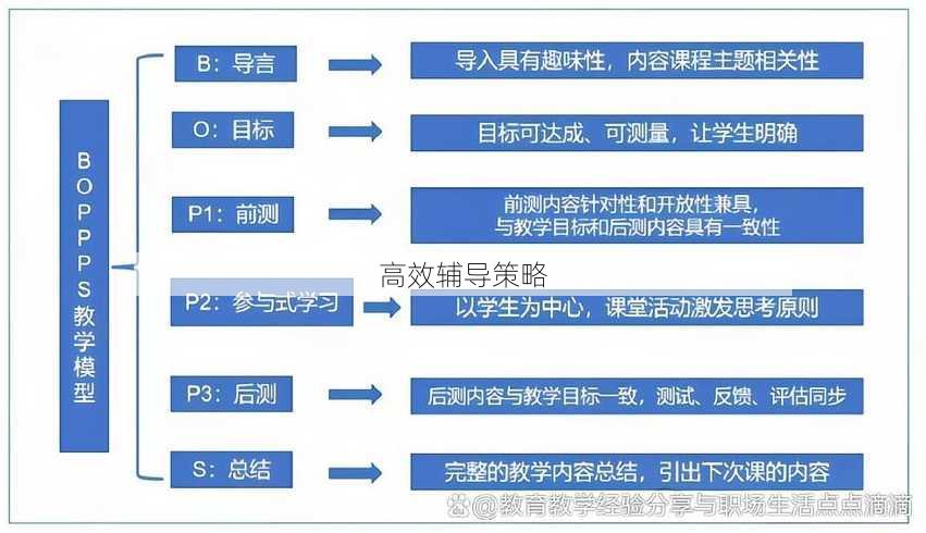 高效辅导策略