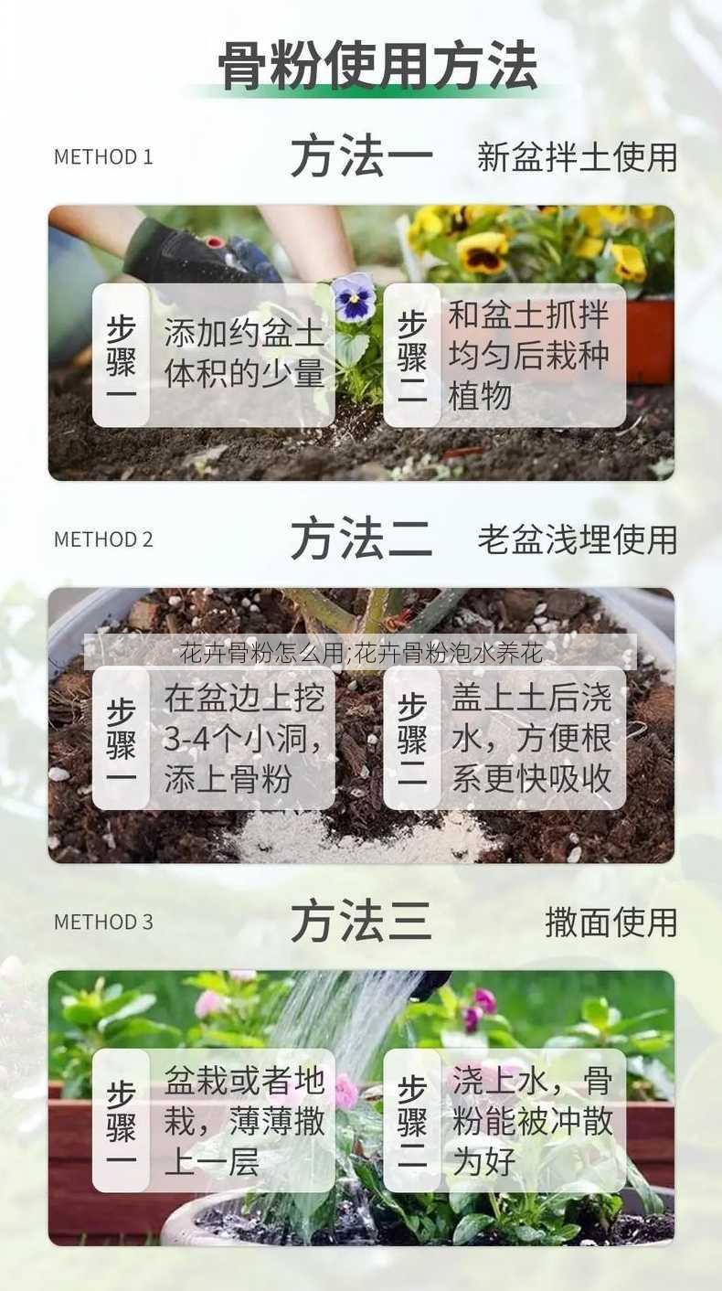 花卉骨粉怎么用;花卉骨粉泡水养花