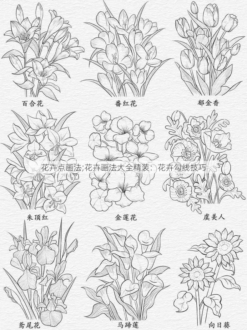 花卉点画法;花卉画法大全精装：花卉勾线技巧