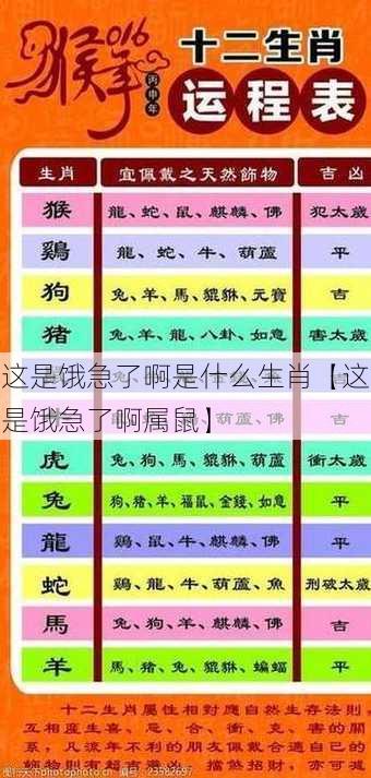 这是饿急了啊是什么生肖【这是饿急了啊属鼠】