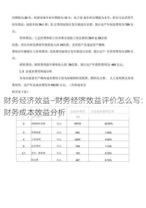 财务经济效益—财务经济效益评价怎么写：财务成本效益分析