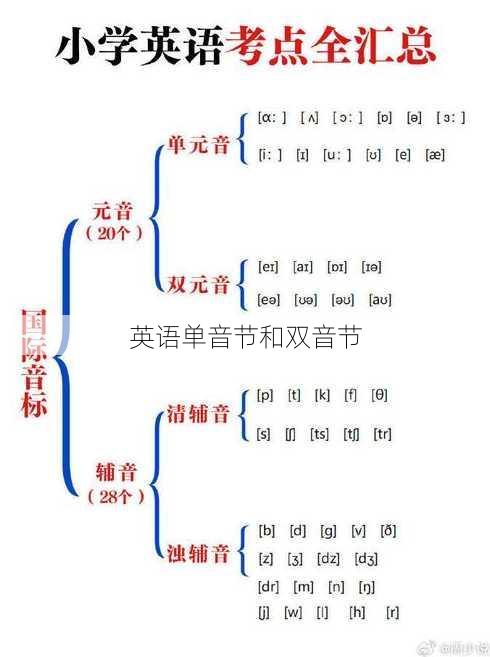 英语单音节和双音节