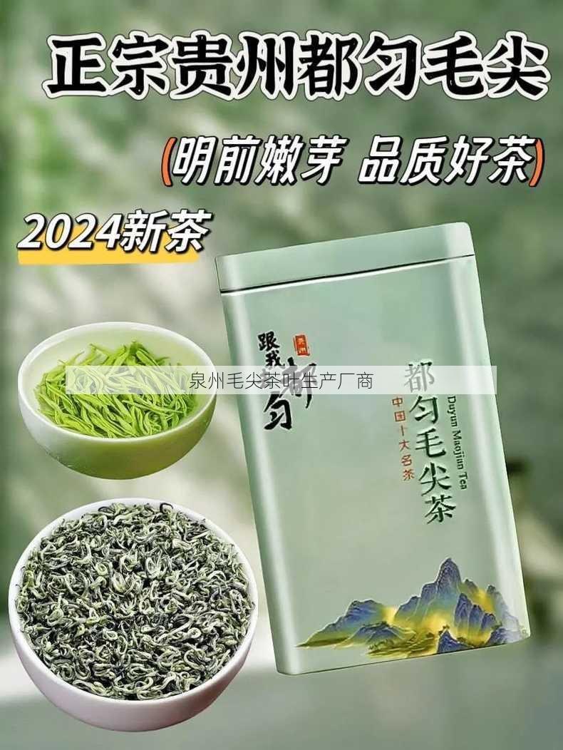 泉州毛尖茶叶生产厂商