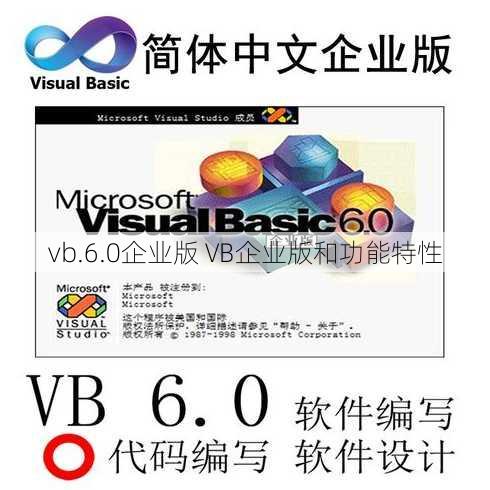 vb.6.0企业版 VB企业版和功能特性