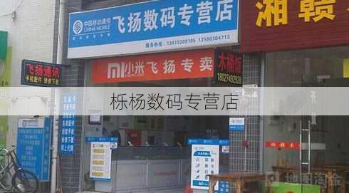 栎杨数码专营店