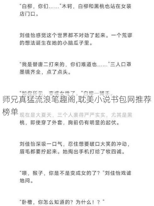 师兄真猛流浪笔趣阁,耽美小说书包网推荐榜单