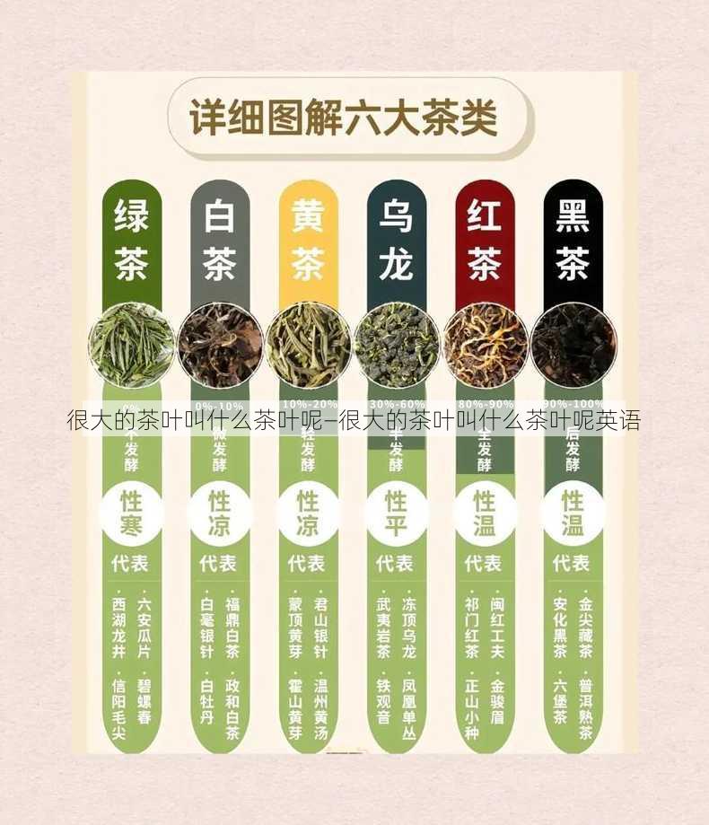 很大的茶叶叫什么茶叶呢—很大的茶叶叫什么茶叶呢英语