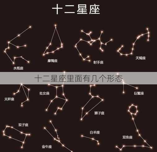 十二星座里面有几个形态