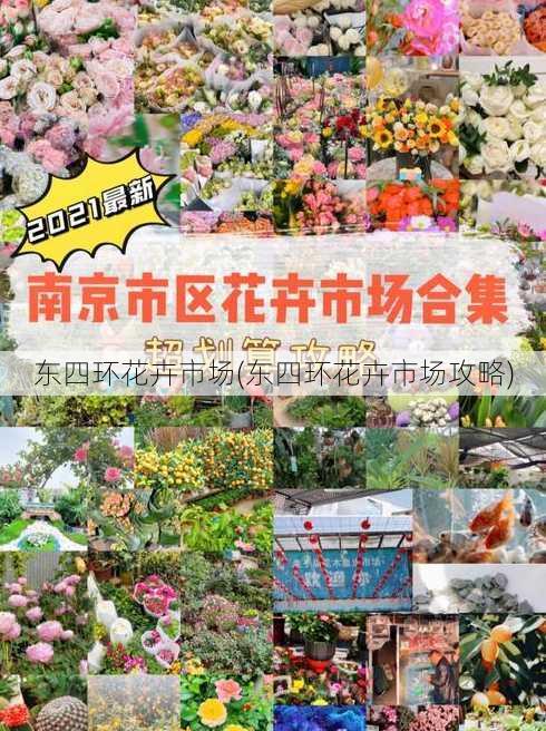 东四环花卉市场(东四环花卉市场攻略)