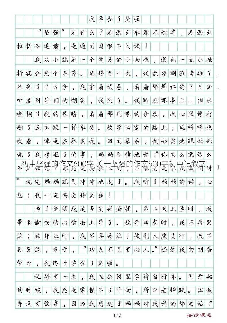 初中坚强的作文600字,关于坚强的作文600字初中记叙文