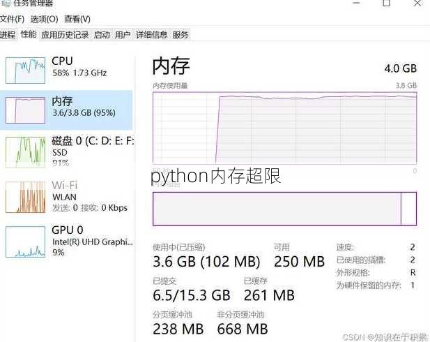 python内存超限