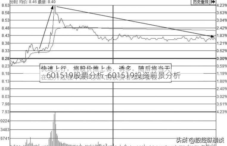 601519股票分析-601519投资前景分析