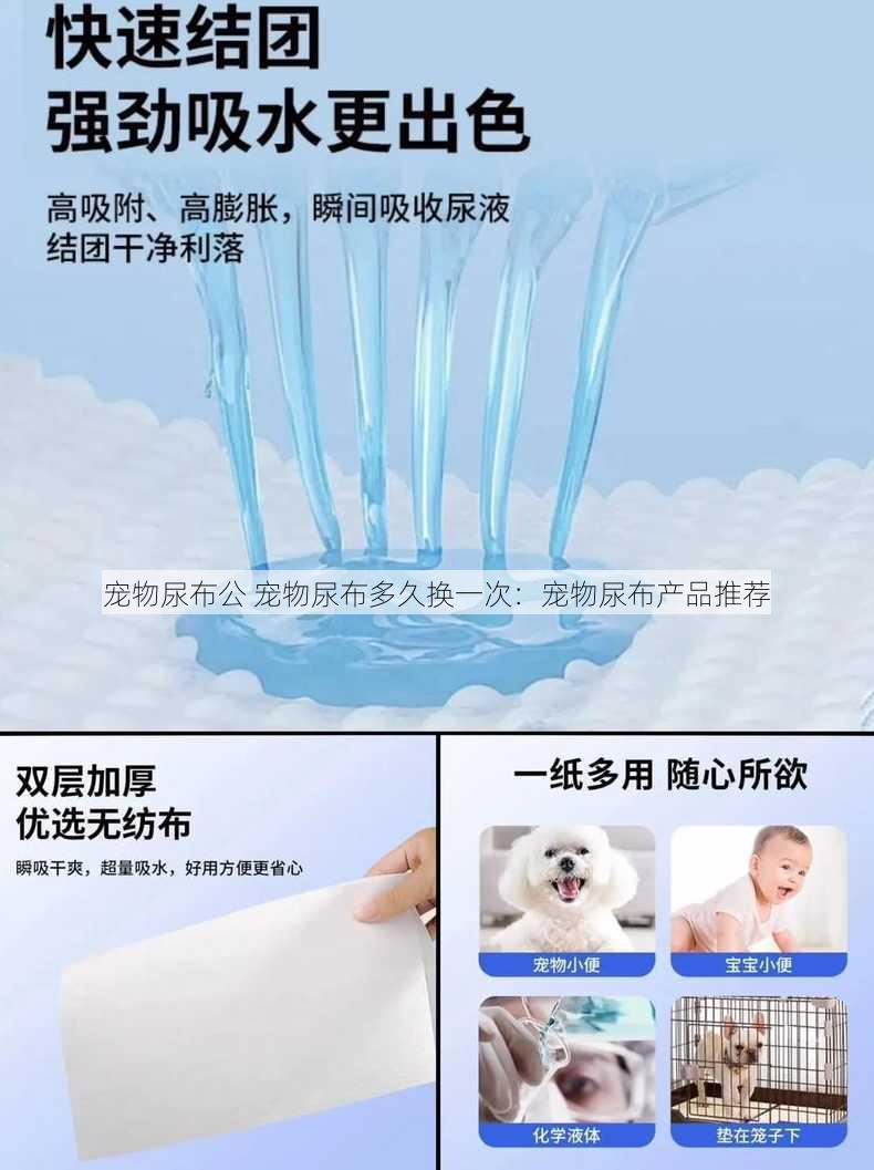 宠物尿布公 宠物尿布多久换一次：宠物尿布产品推荐