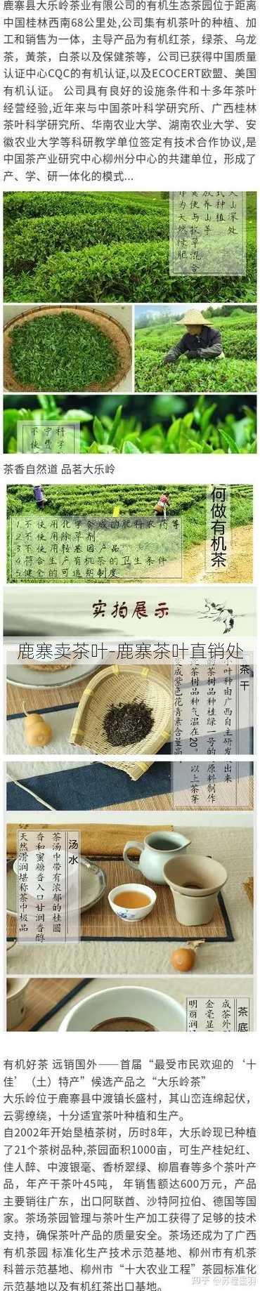 鹿寨卖茶叶-鹿寨茶叶直销处