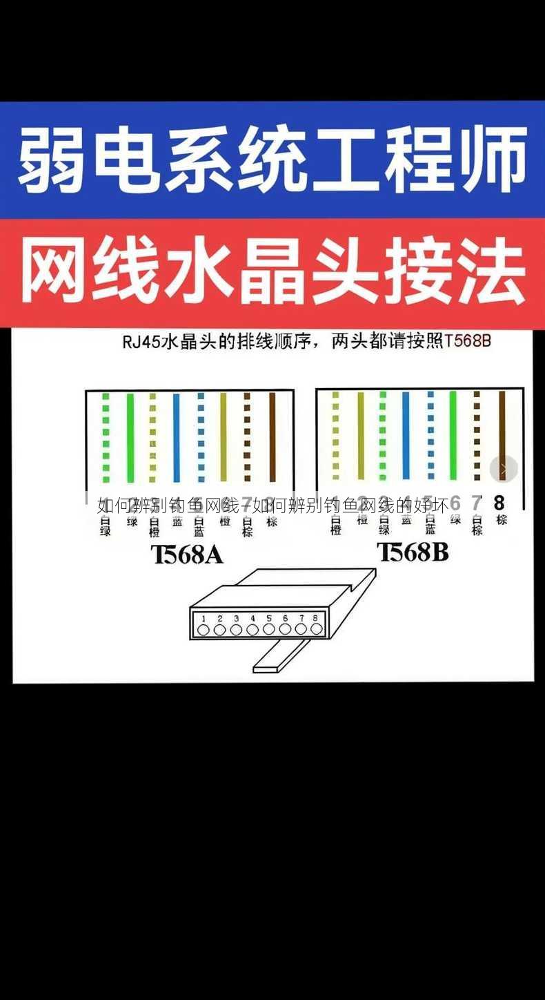 如何辨别钓鱼网线—如何辨别钓鱼网线的好坏