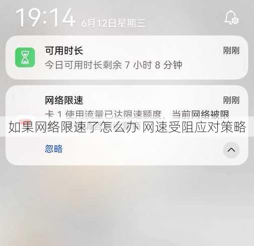 如果网络限速了怎么办 网速受阻应对策略