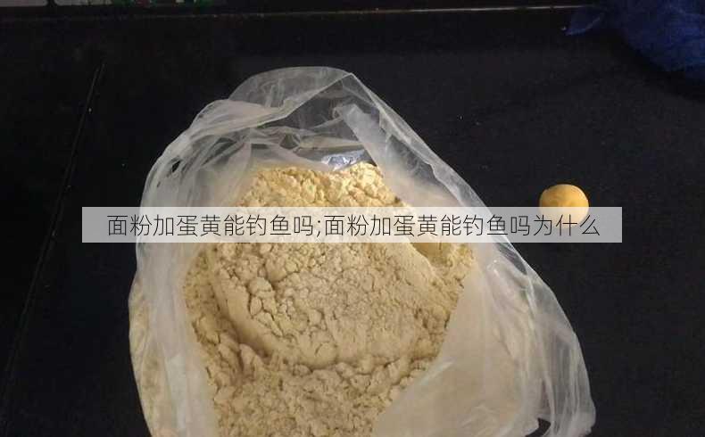 面粉加蛋黄能钓鱼吗;面粉加蛋黄能钓鱼吗为什么