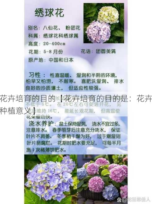 花卉培育的目的【花卉培育的目的是：花卉种植意义】