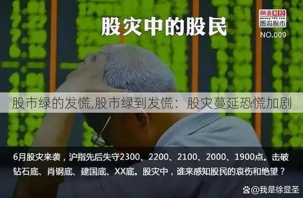 股市绿的发慌,股市绿到发慌：股灾蔓延恐慌加剧