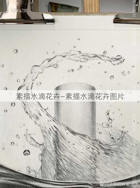 素描水滴花卉—素描水滴花卉图片