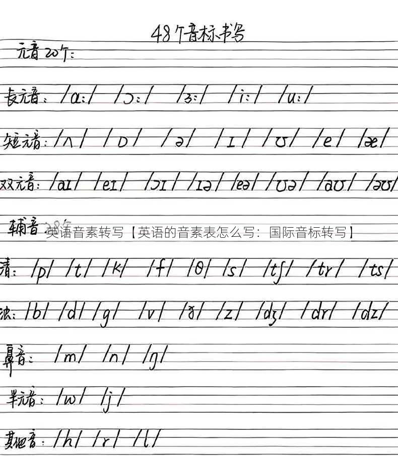 英语音素转写【英语的音素表怎么写：国际音标转写】