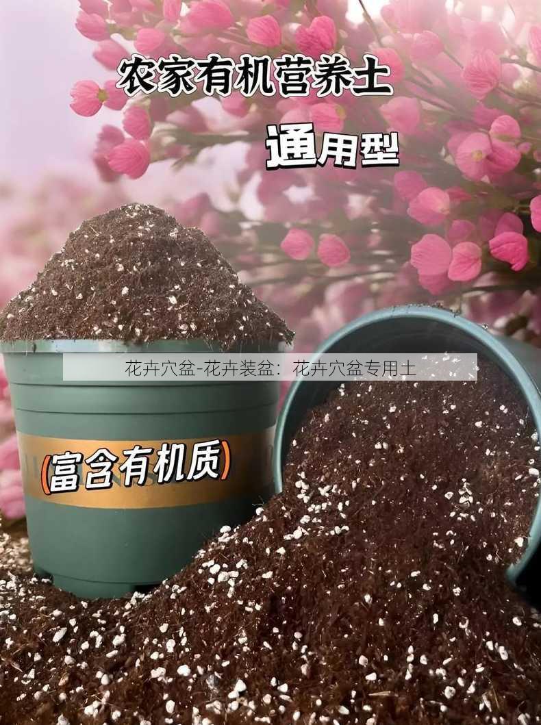 花卉穴盆-花卉装盆：花卉穴盆专用土