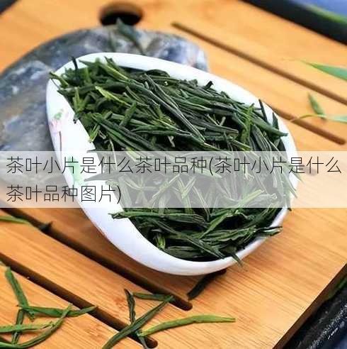 茶叶小片是什么茶叶品种(茶叶小片是什么茶叶品种图片)