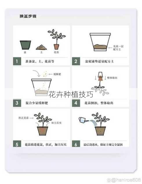 花卉种植技巧