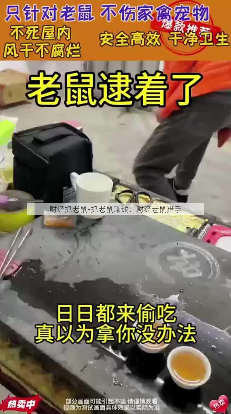 财经抓老鼠-抓老鼠赚钱：财经老鼠猎手