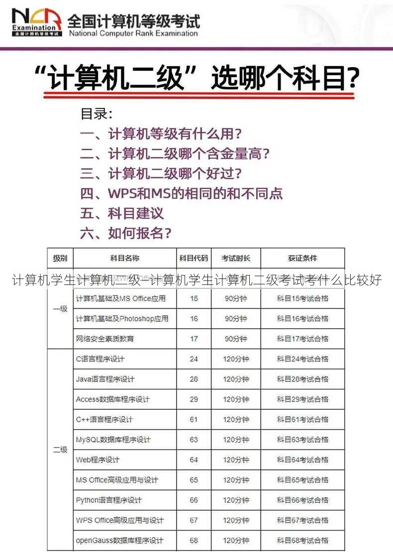 计算机学生计算机二级—计算机学生计算机二级考试考什么比较好