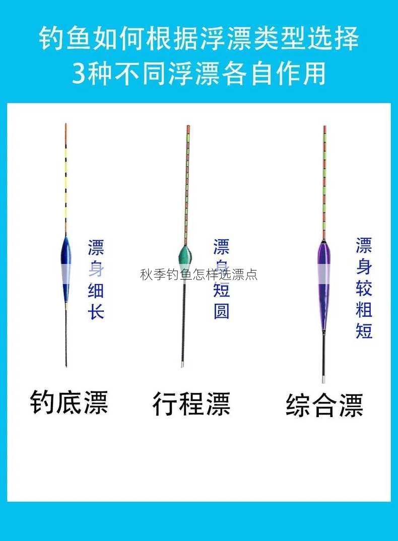 秋季钓鱼怎样选漂点