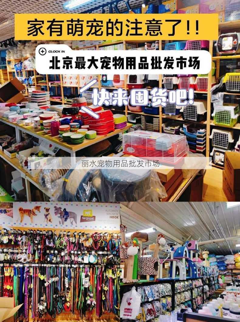 丽水宠物用品批发市场