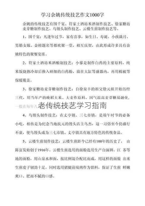 老传统技艺学习指南