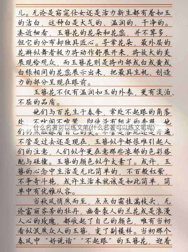 什么名著可以练文笔(什么名著可以练文笔呢)